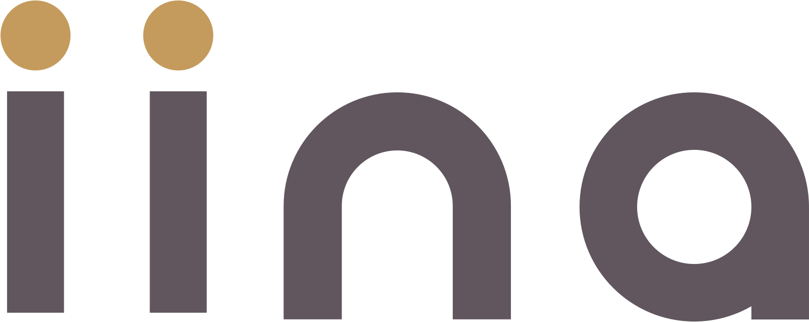 Iina Logo