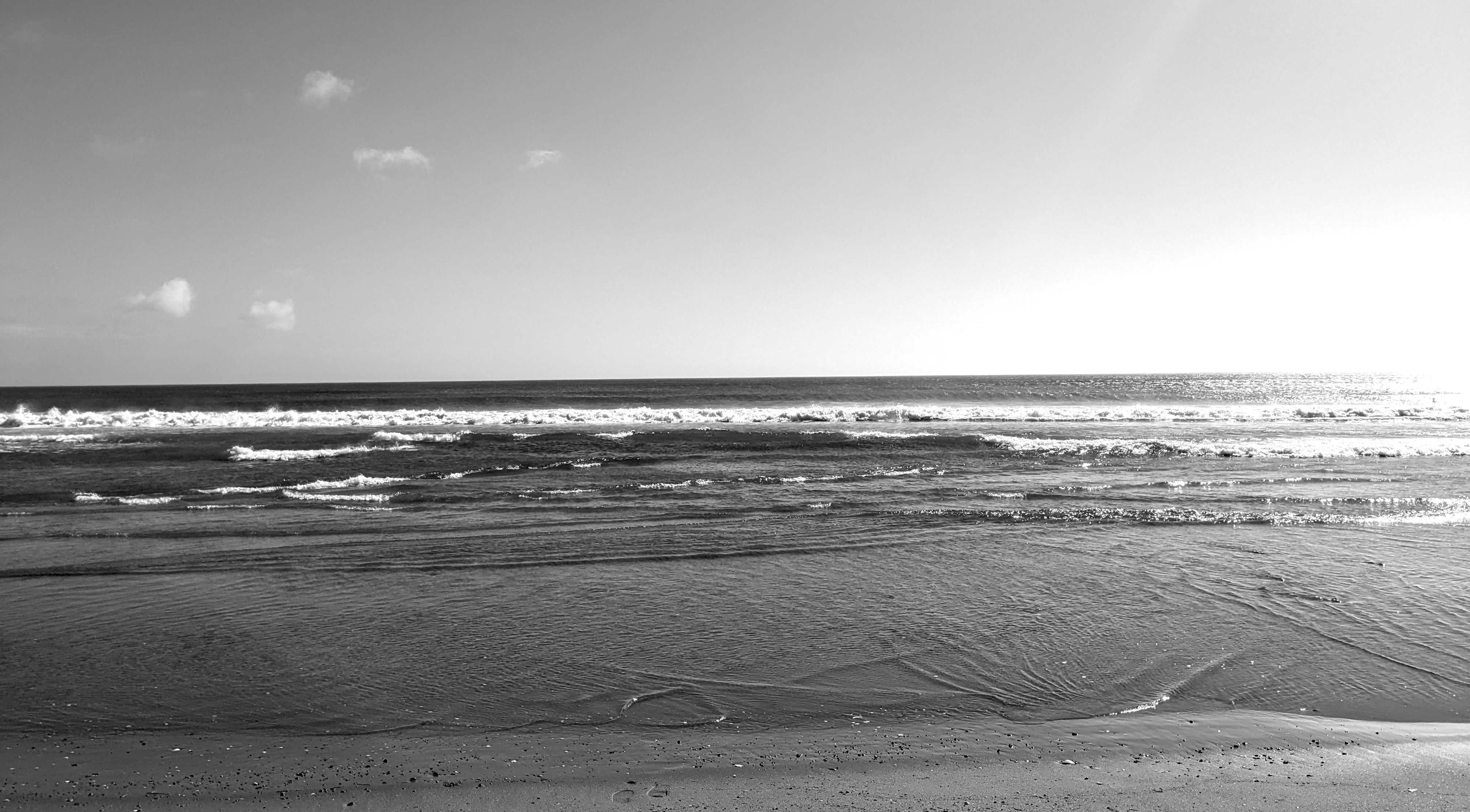 Ocean